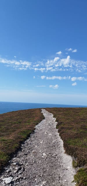Petit tour du cap de la chèvre - Crozon - 9