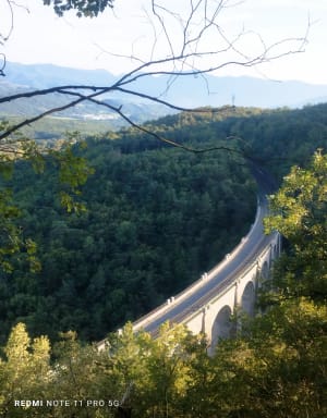 Chemin de la croix et du Viaduc de la Selle et Lac des Chênes - Maxym - 3