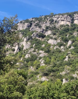 Aiguilles de Valbelle et merveilles de la nature provençale - Andree - 5