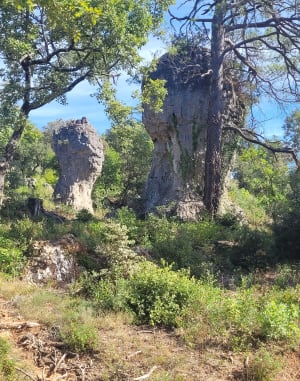 Aiguilles de Valbelle et merveilles de la nature provençale - Andree - 6