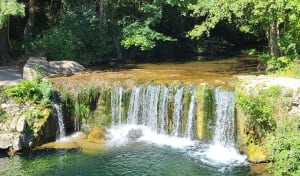 Au-dessus de la vallée de Gravezon et flore locale - Kiki - 3