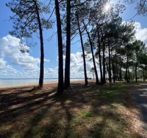 Balade en aller-retour depuis Biscarrosse-Plage - SYLVIE - 2