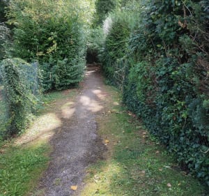 Autour de Thennes - Thennes - 2