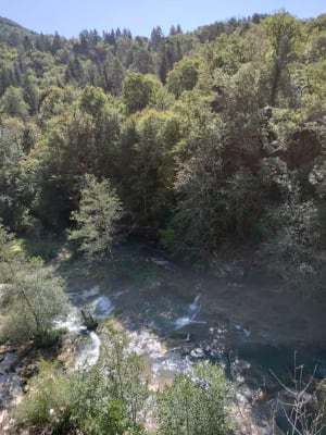 Saut et marmites de Charmine à Matafelon-Granges - Olivier - 7