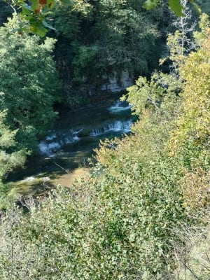 Saut et marmites de Charmine à Matafelon-Granges - Olivier - 8