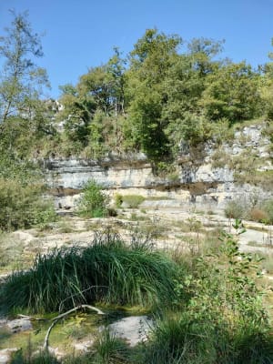 Saut et marmites de Charmine à Matafelon-Granges - Olivier - 6