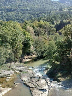 Saut et marmites de Charmine à Matafelon-Granges - Olivier - 9