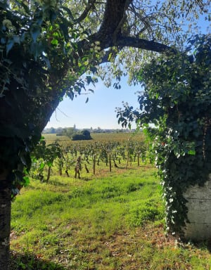 Entre village et vignes MARSANNAY - Bea - 9