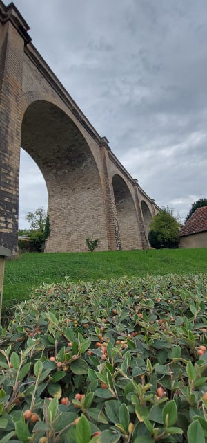 Tour de Sancerre et Saint-Satur - Sophie - 7