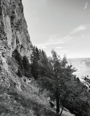 La Pinéa par le sentier Vermorel - Pierre - 3