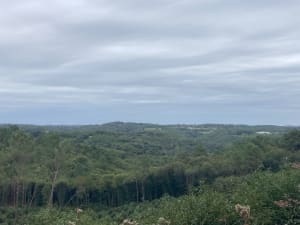 Boucle des Sangliers - MAGALI - 9