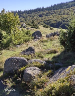 Petit ballon et Steinberg - Corinne - 4