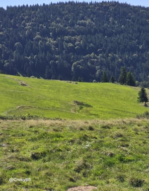 Petit ballon et Steinberg - Corinne - 3