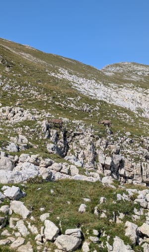 Uitstapje naar Lac de la Moucherolle en ontdekking van de bergkammen - Cyril - 7