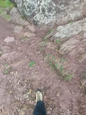 Tréhorenteuc et imagination au pouvoir à Brocéliande ! - Tréhorenteuc - 6