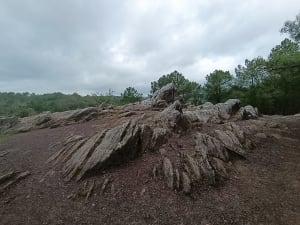 Tréhorenteuc et imagination au pouvoir à Brocéliande ! - Tréhorenteuc - 7