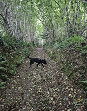 Promenade sur la trace des Tancrède - Mathieu - 2