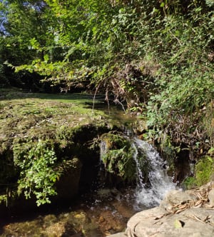 Découverte de la source de l'Avy - Grabels - 3