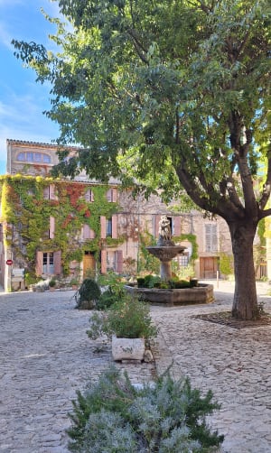 Charmes du sud, entre Apt et Saignon - SARAH - 4
