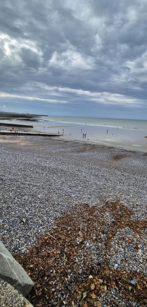 Plage de Puys et belvédère à Dieppe - laurent - 7