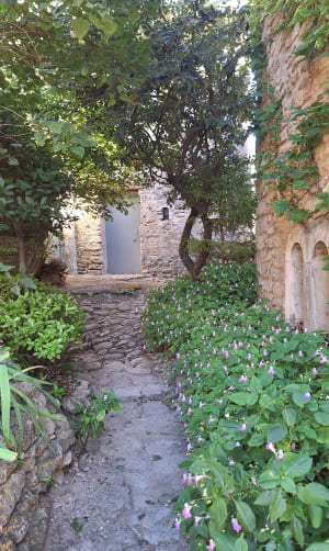 Charmes du sud, entre Apt et Saignon - SARAH - 6