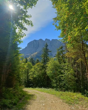 Gresse-en-Vercors en de klim naar de Grand Veymont - Luc - 13