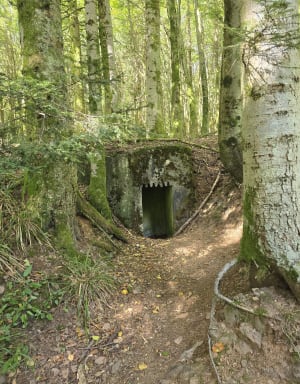 Autour sur temple du Donon et le petit Donon - Grandfontaine - 10