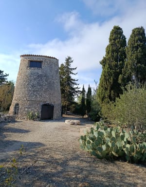 Tour de l'étang de Leucate jusqu'au falaises - Michael - 7
