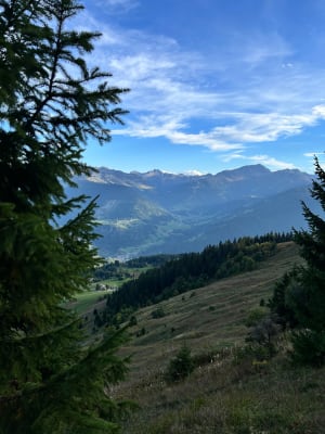 Le tour de la Légette avec vue sur le Mont-Blanc - Anastasiia  - 4