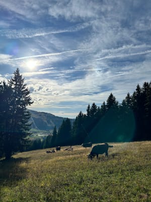 Le tour de la Légette avec vue sur le Mont-Blanc - Anastasiia  - 5