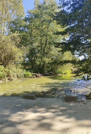 Balade le long de La Chalaronne - valerie - 5