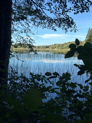 Les 4 lacs et le pic de l'Aigle - Jean luc - 6