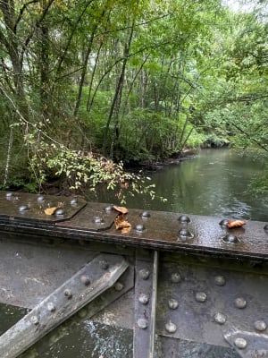 Balade des ponts à Souesmes - Gwennaëlle - 7