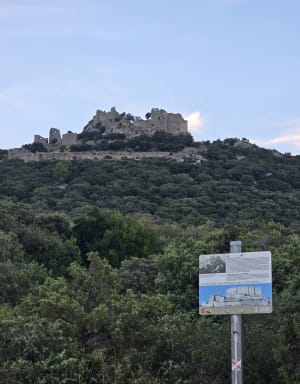 La Ronde du Château Montferrand - Saint-Mathieu-de-Tréviers - 7