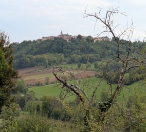 Alise-Sainte-Reine - Tour du mont Drouot - Dominique - 4