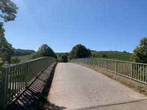 La boucle des noyers - Pauline - 2