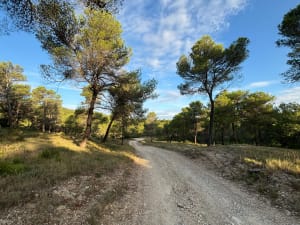 Vigie Meyrargues - Cedric - 7