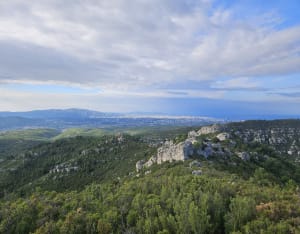 Sentiers oubliés à Mimet - Mimet - 3