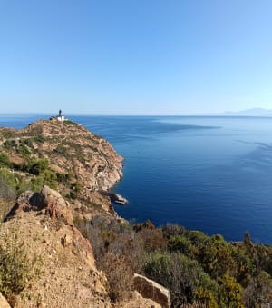 De Calvi à La Revellata - Calvi - 9