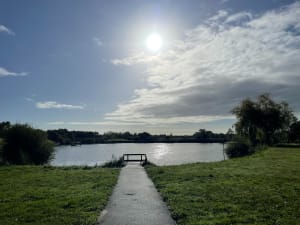 Découverte de la Marne, ses étangs, sa forêt et le Grand Moulin - La Marne - 6