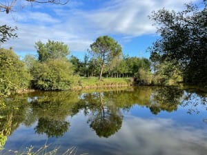 Découverte de la Marne, ses étangs, sa forêt et le Grand Moulin - La Marne - 7