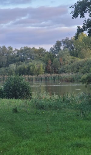 Balade autour des Ballastieres - Delphine - 6