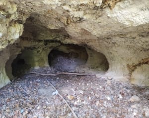 D'Évreux à Gauville par champs et forêts - Adeline - 8