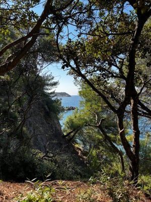 De la plage du Pin de Galle à la plage de Monaco - Le Pradet - 3