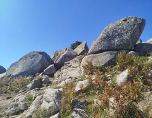 Beklimming van de Monte San Petru en Corsicaanse panorama's - Stephanie - 5