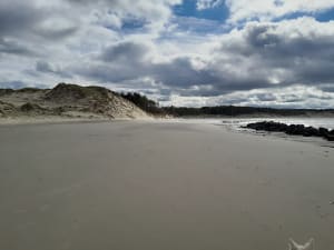 Rando le long de la baie au départ de Berck - karine - 7