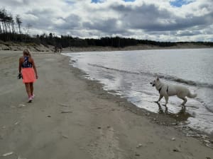 Rando le long de la baie au départ de Berck - karine - 9