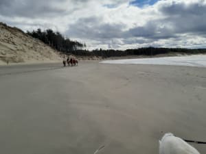 Rando le long de la baie au départ de Berck - karine - 10