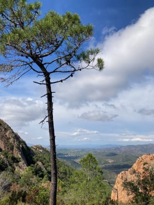 Randonnée au rastel d’Agay - Gildas - 9