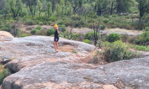 Randonnée plaine des Maures - David - 6